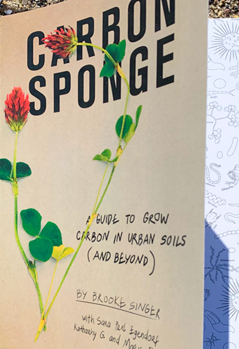 Carbon Sponge by Brooke Singer book cover image
